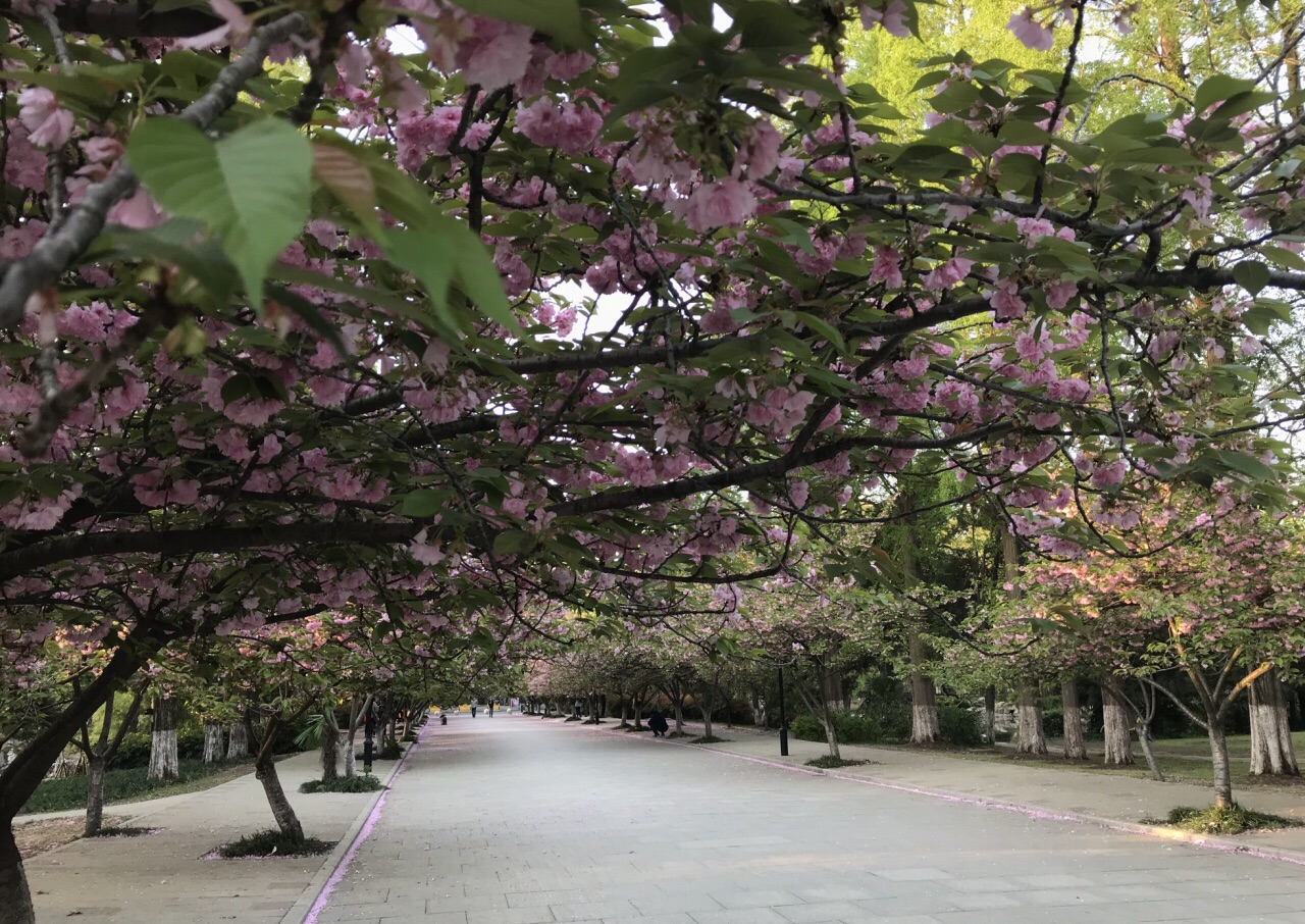 中国科学技术大学