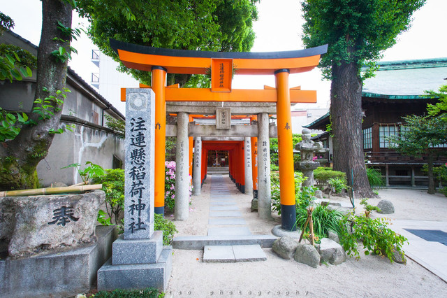 日本 让春日在烈阳下优美燃尽 携程氢气球