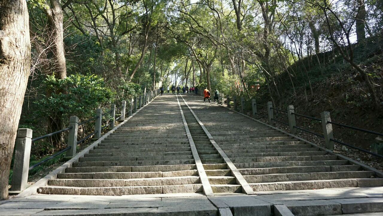 東佘山旅遊景點攻略圖