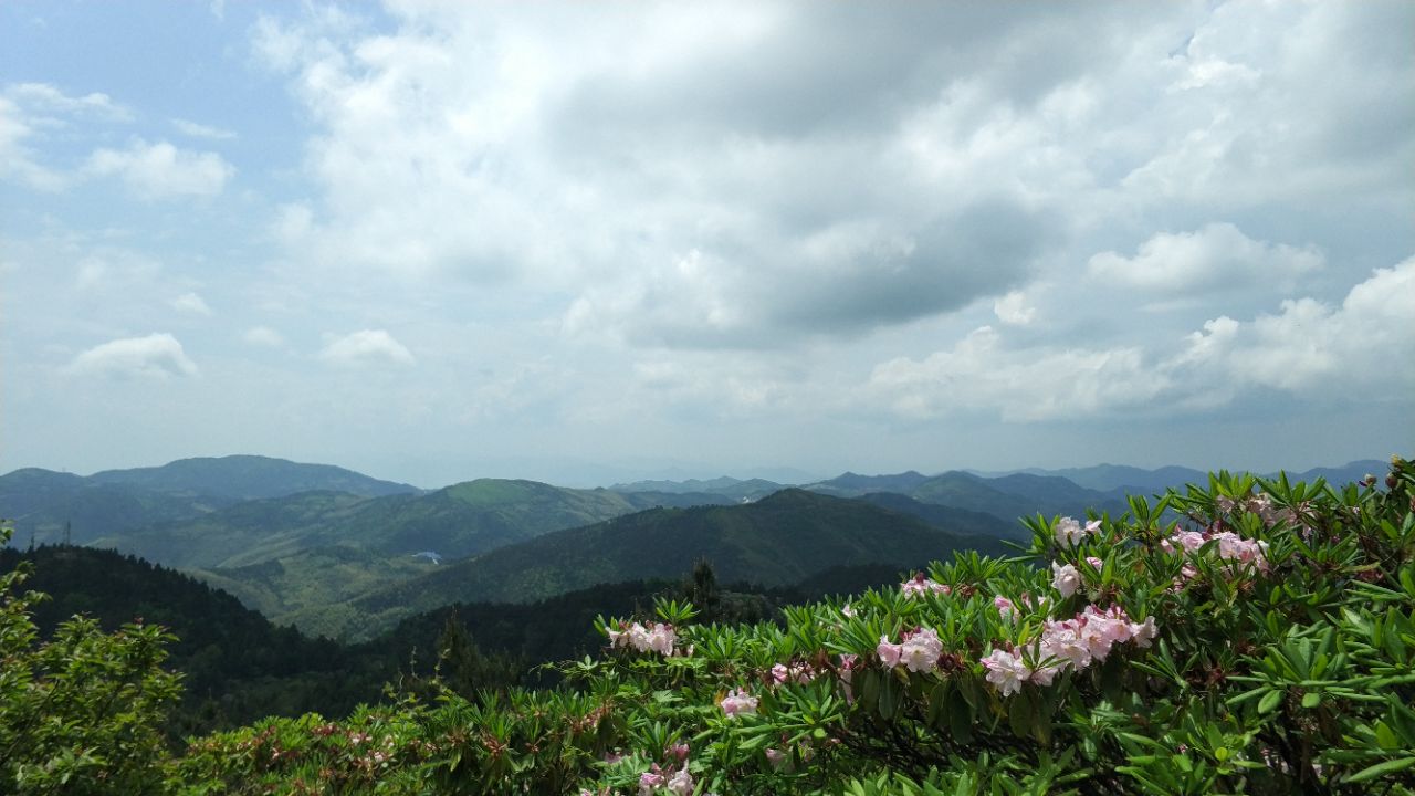 华顶国家森林公园