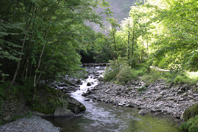 100d0s000000hrm5337A9_R_671_10000_Q90.jpg?proc=autoorient