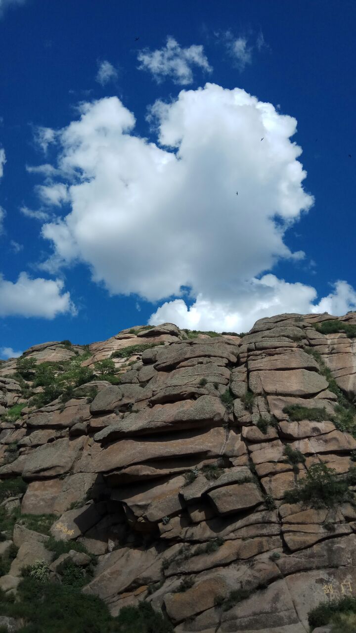 辉腾锡勒黄花沟草原旅游区