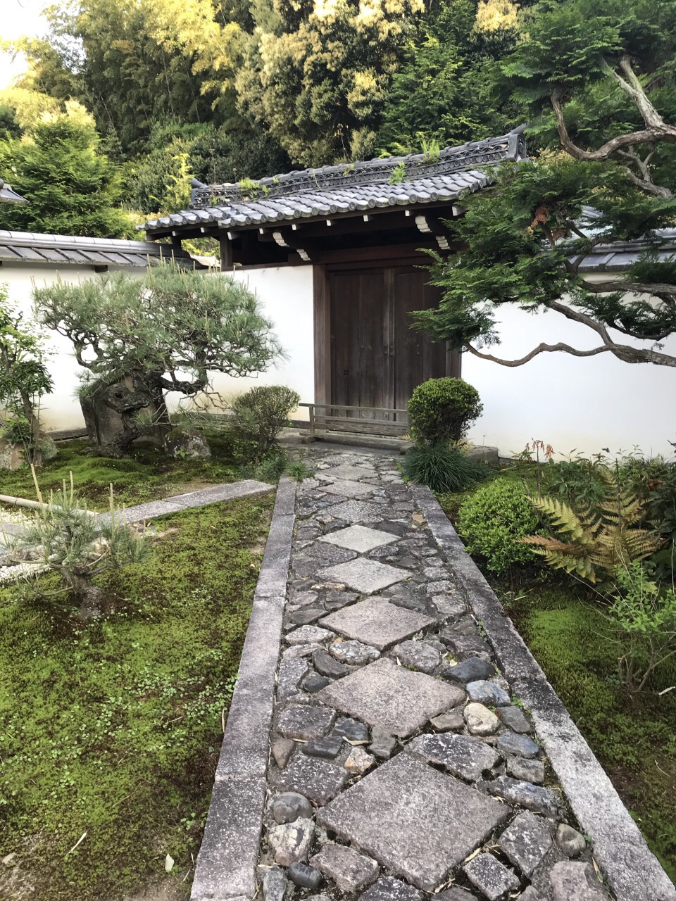 2019圣护院游玩攻略,这也是一个小小的寺庙,非常. 【去哪儿攻略】