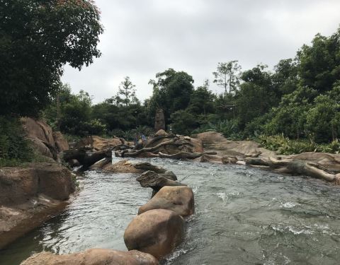 2019探险岛门票,上海迪士尼度假区探险岛游玩