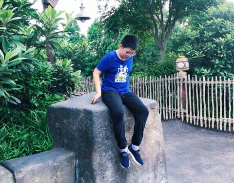 2019探险岛门票,上海迪士尼度假区探险岛游玩