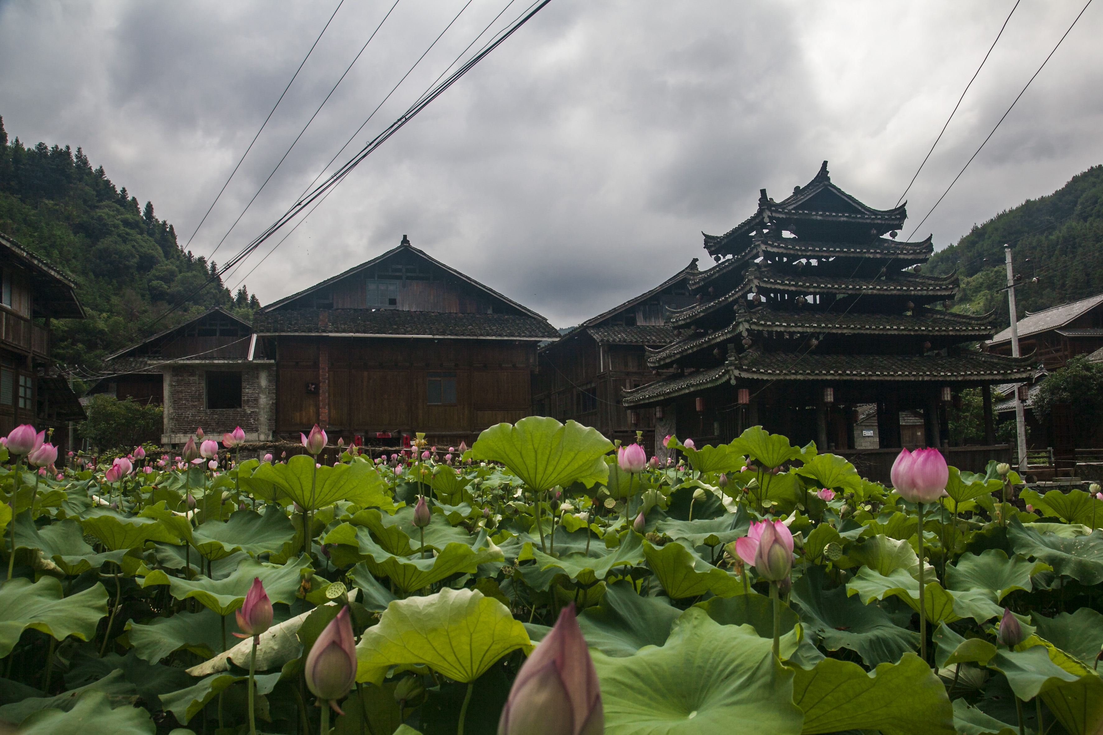 芋头侗寨古建筑群