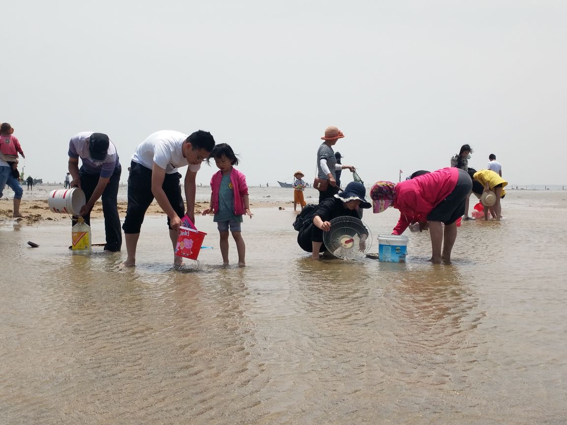 劉家灣趕海園