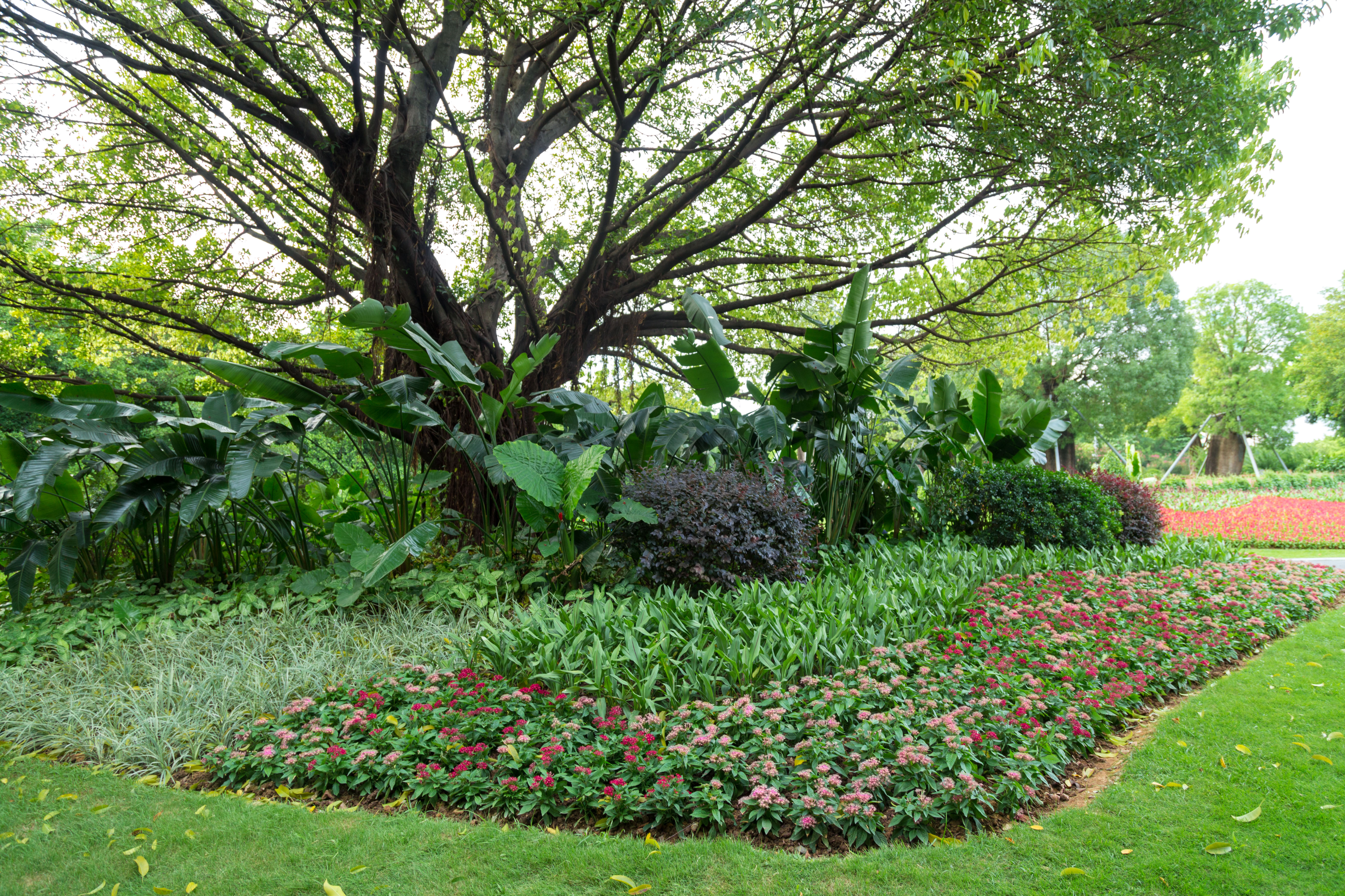 花卉观赏区 直线距离391m