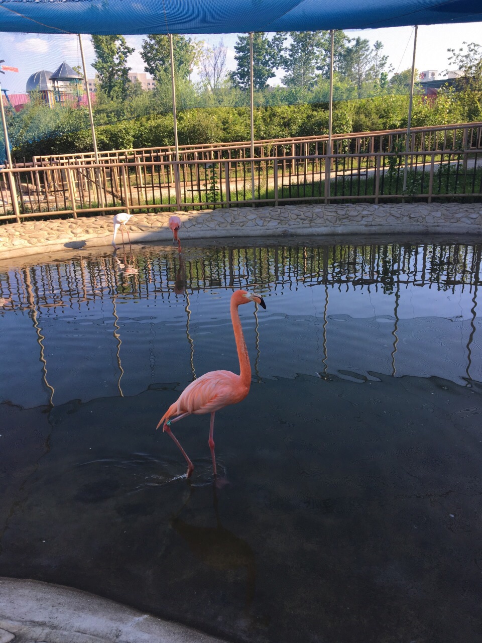 【攜程攻略】齊齊哈爾龍沙動植物園景點,非常不錯的動物園,人少,動物