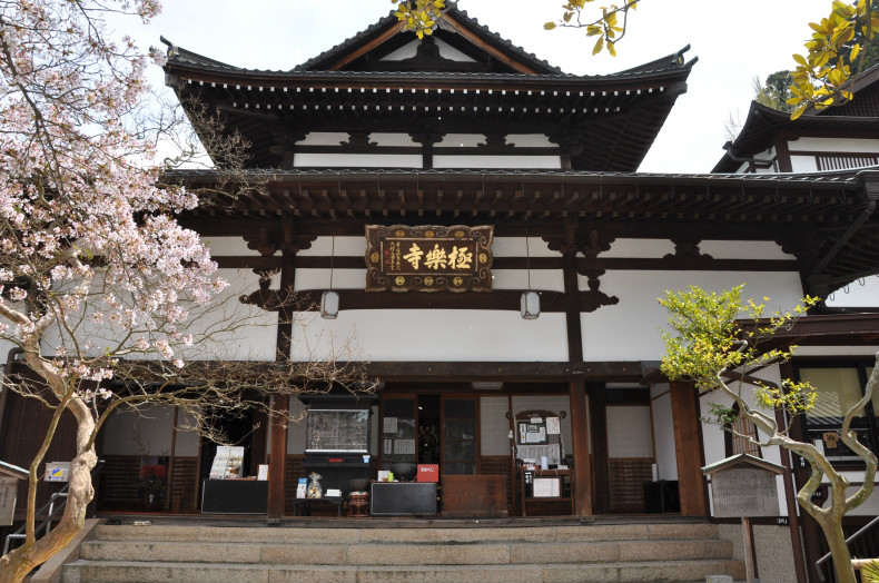 镰仓市极乐寺好玩吗,镰仓市极乐寺景点怎么样_点评_评价【携程攻略】