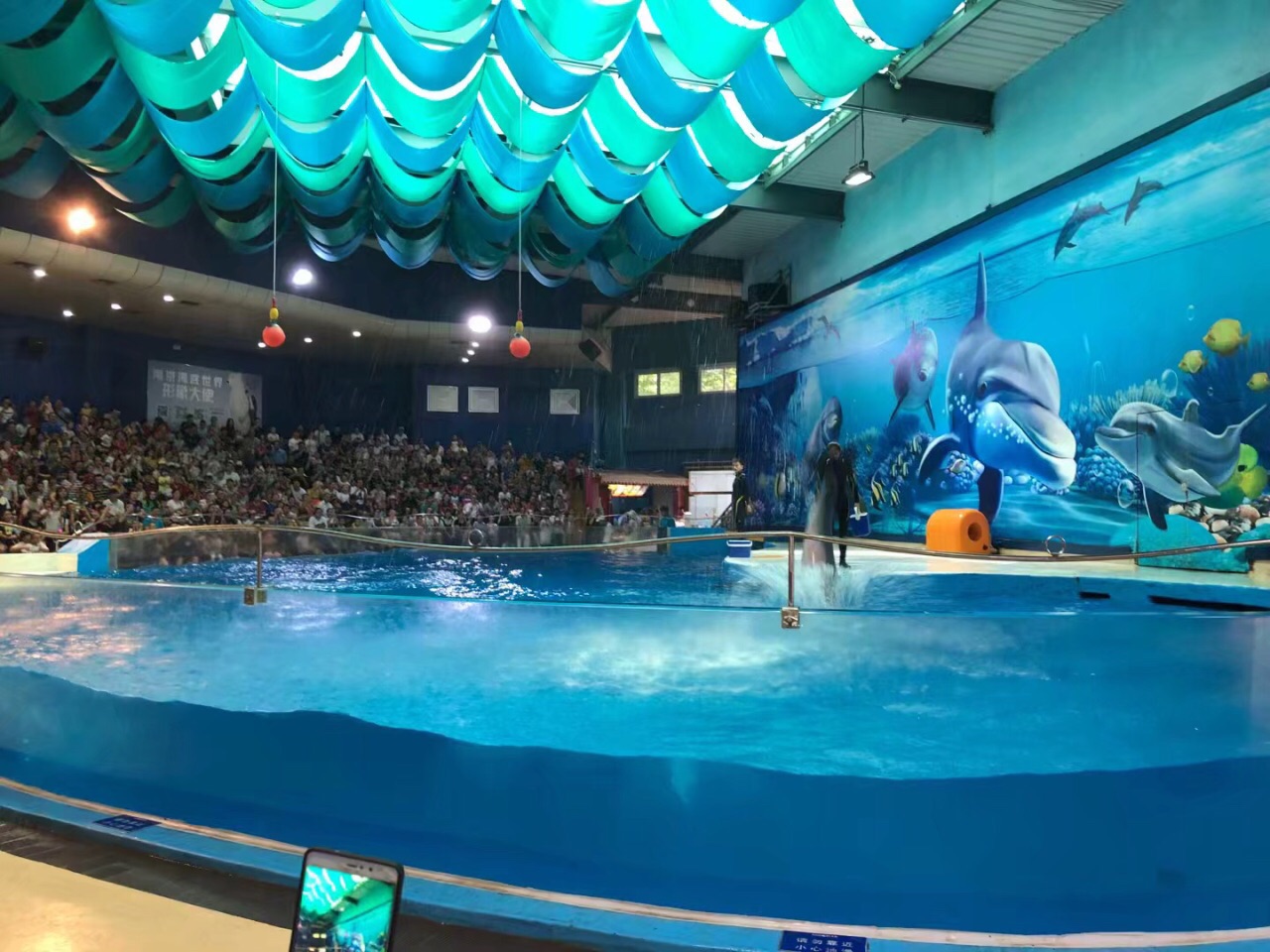 南京海底世界海豚可以互动嘛?可以合影吗