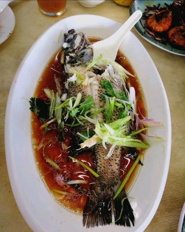 2022泰苑海鲜鱼翅酒家美食餐厅,餐,不过东西不多,里面的