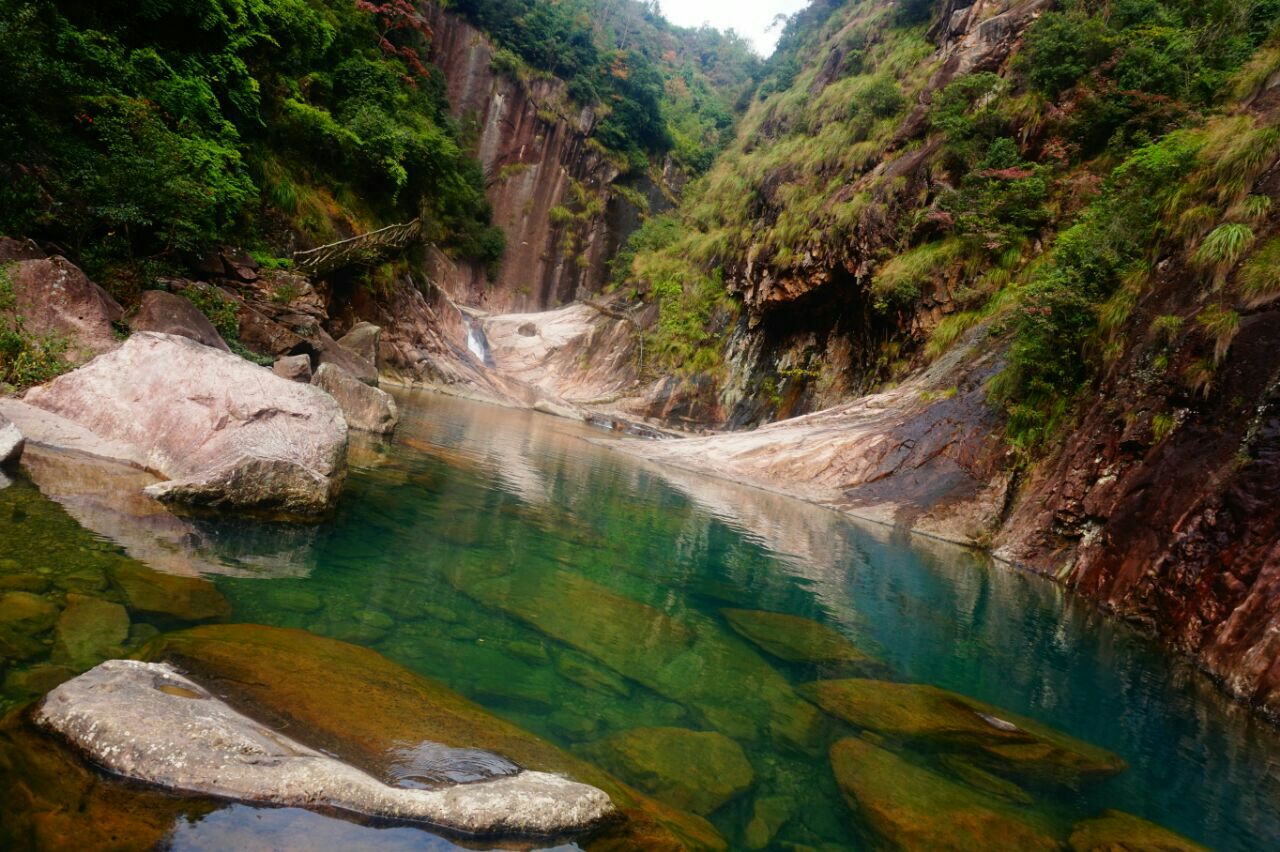 中国地理之卧龙自然保护区|卧龙自然保护区|珙桐|金丝猴_新浪新闻