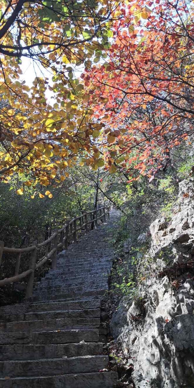 2019齊山_旅遊攻略_門票_地址_遊記點評,淄博旅遊景點推薦 - 去哪兒