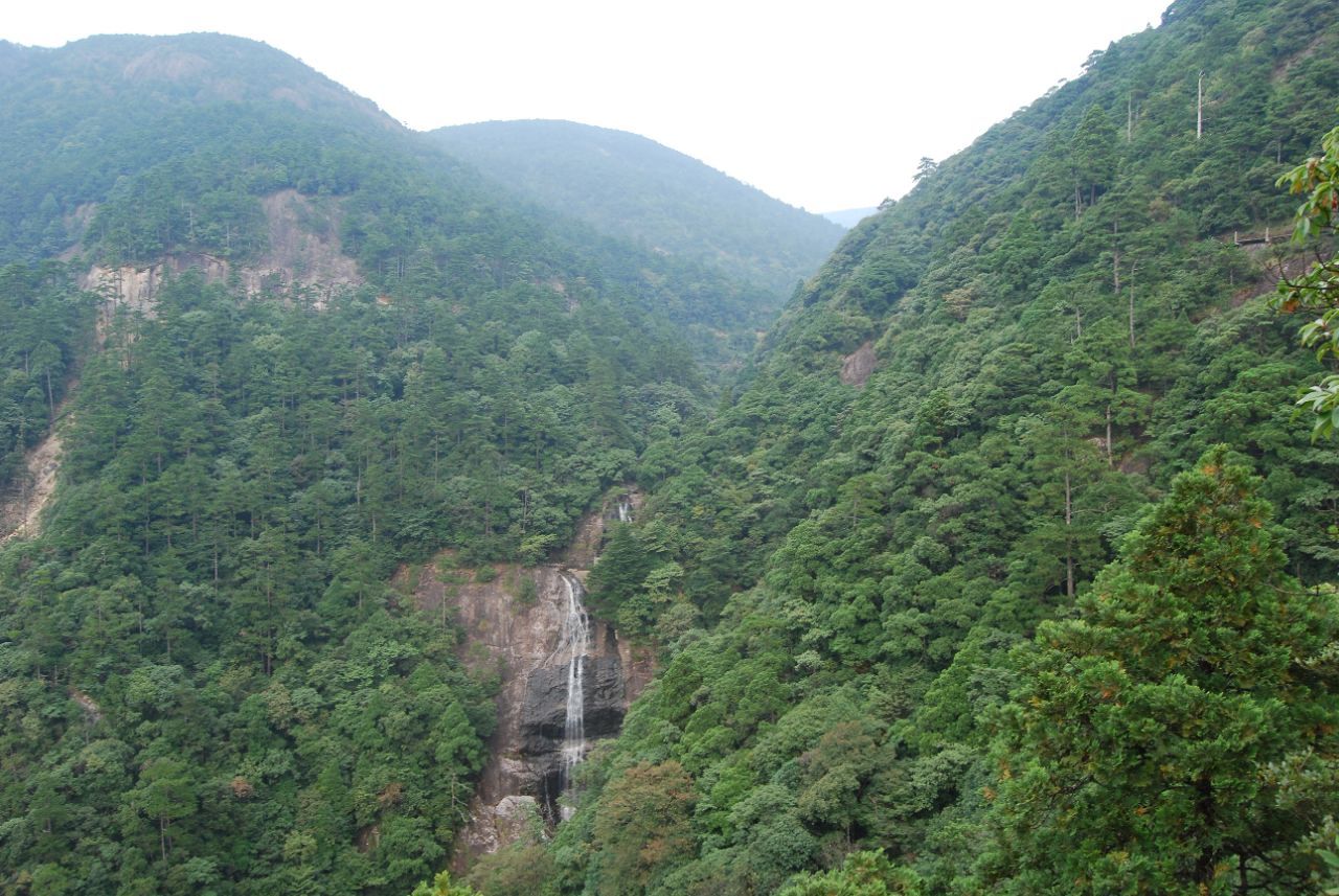 避暑好去处，浙江高山原始森林“龙泉山”