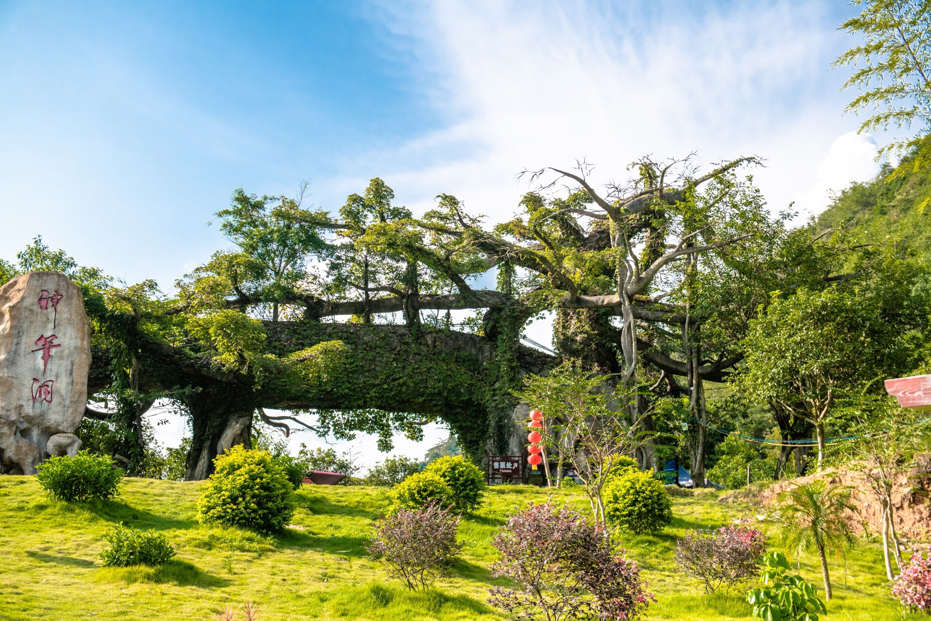 阳山神峰关生态旅游度假区好玩吗,阳山神峰关生态旅游度假区景点怎么