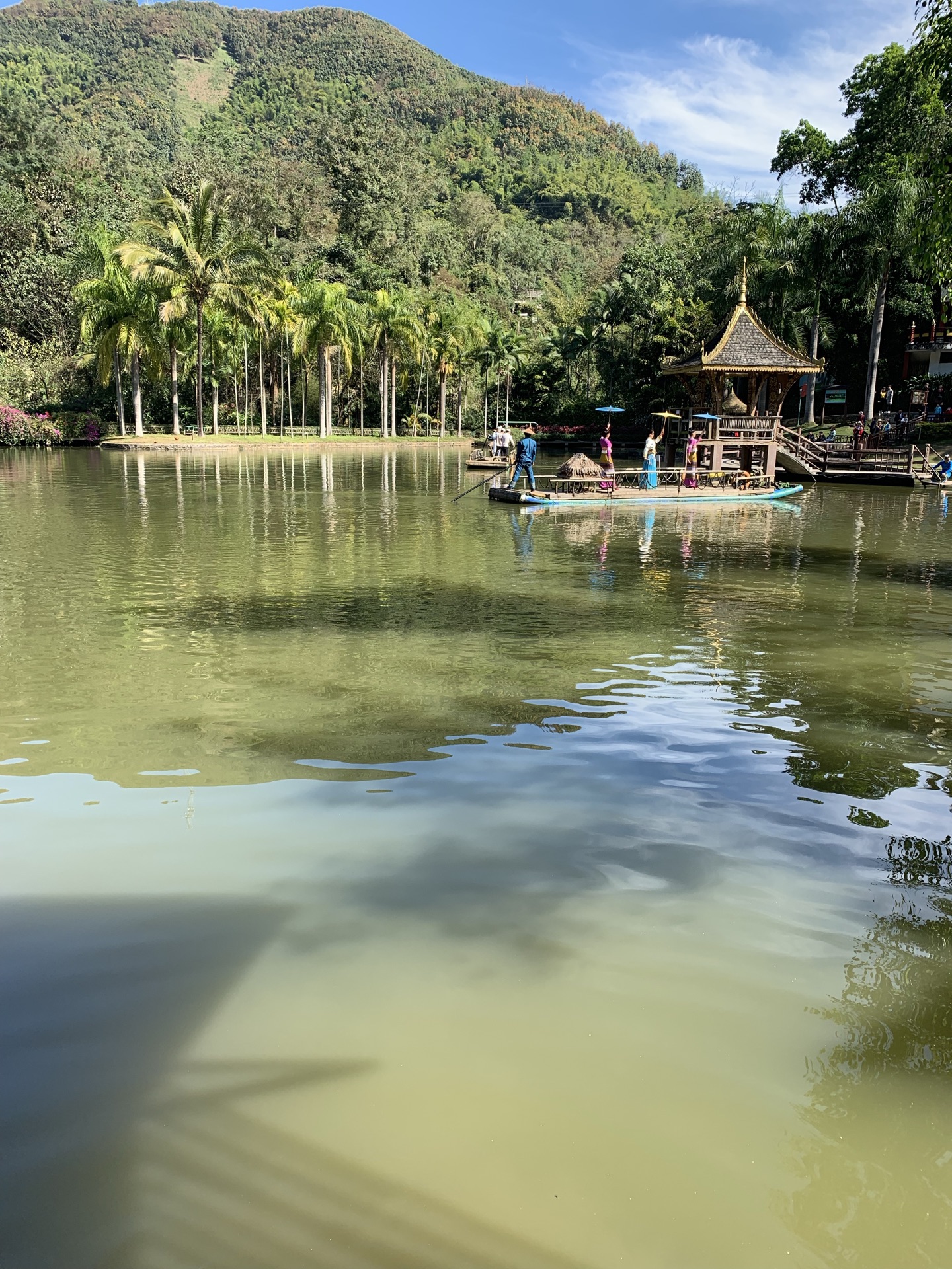 西雙版納原始森林公園旅遊景點攻略圖