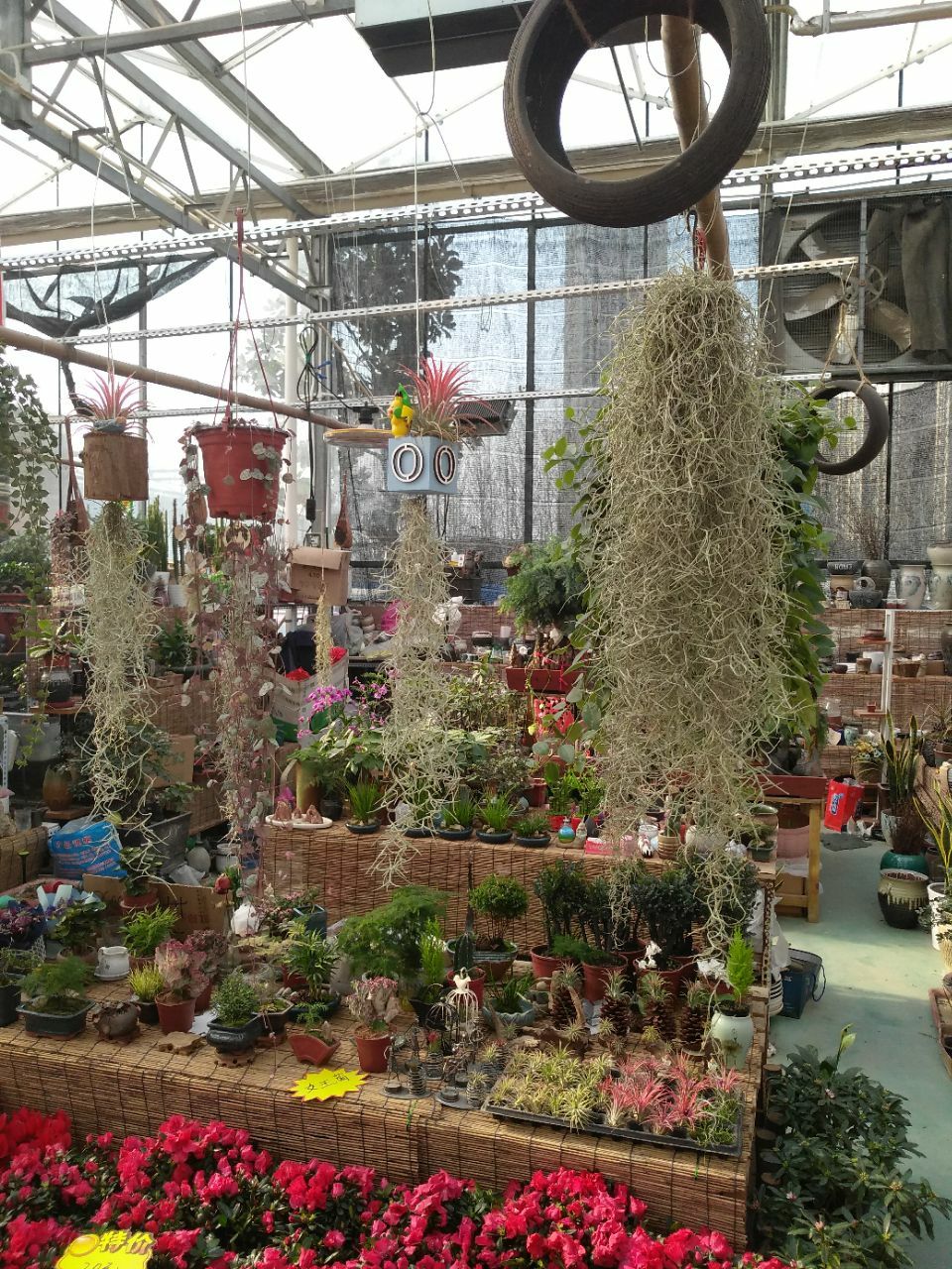 郑东花卉市场