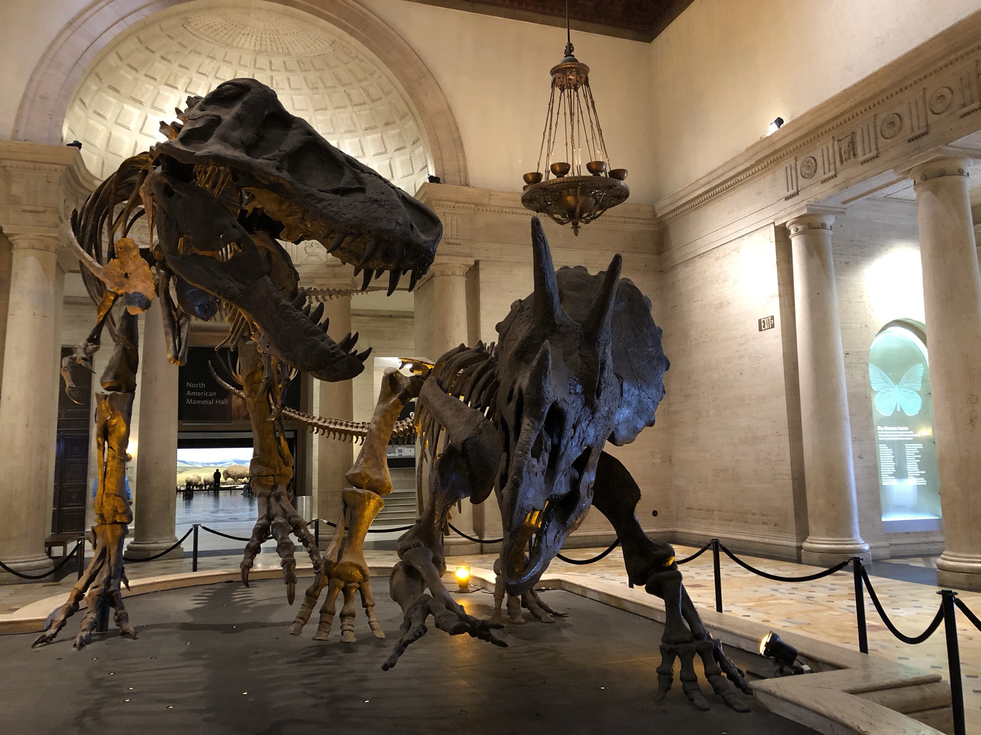 洛杉矶自然历史博物馆