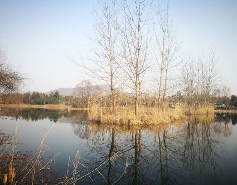 望江公园在什么位置 100d12000000rr41pED93_C_480_375.jpg