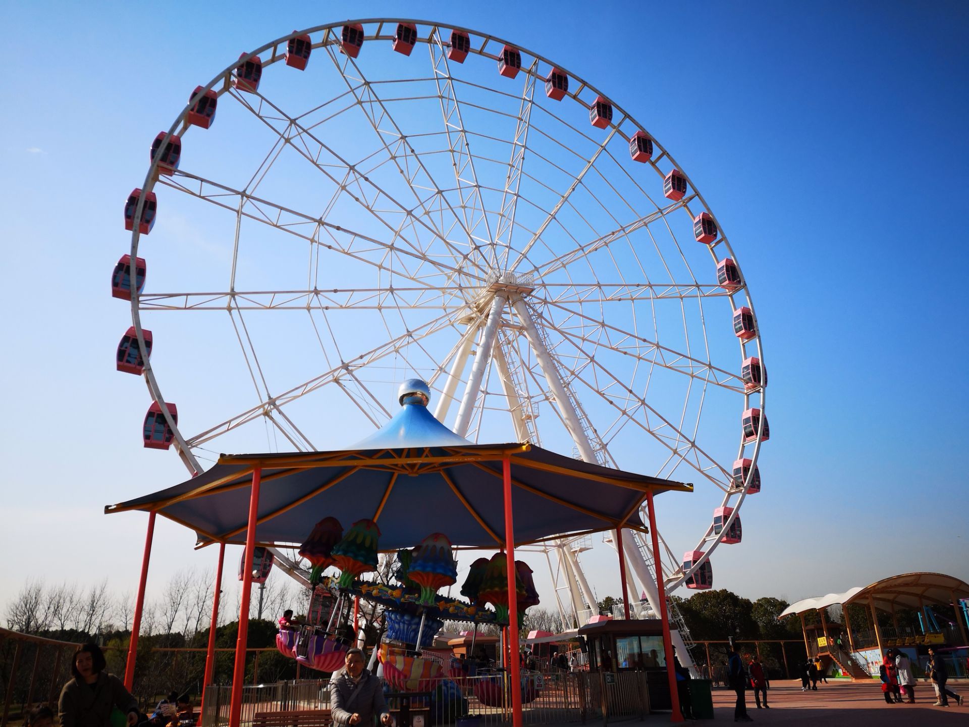 2019顾村公园-旅游攻略-门票-地址-问答-游记点评,上海旅游旅游景点推