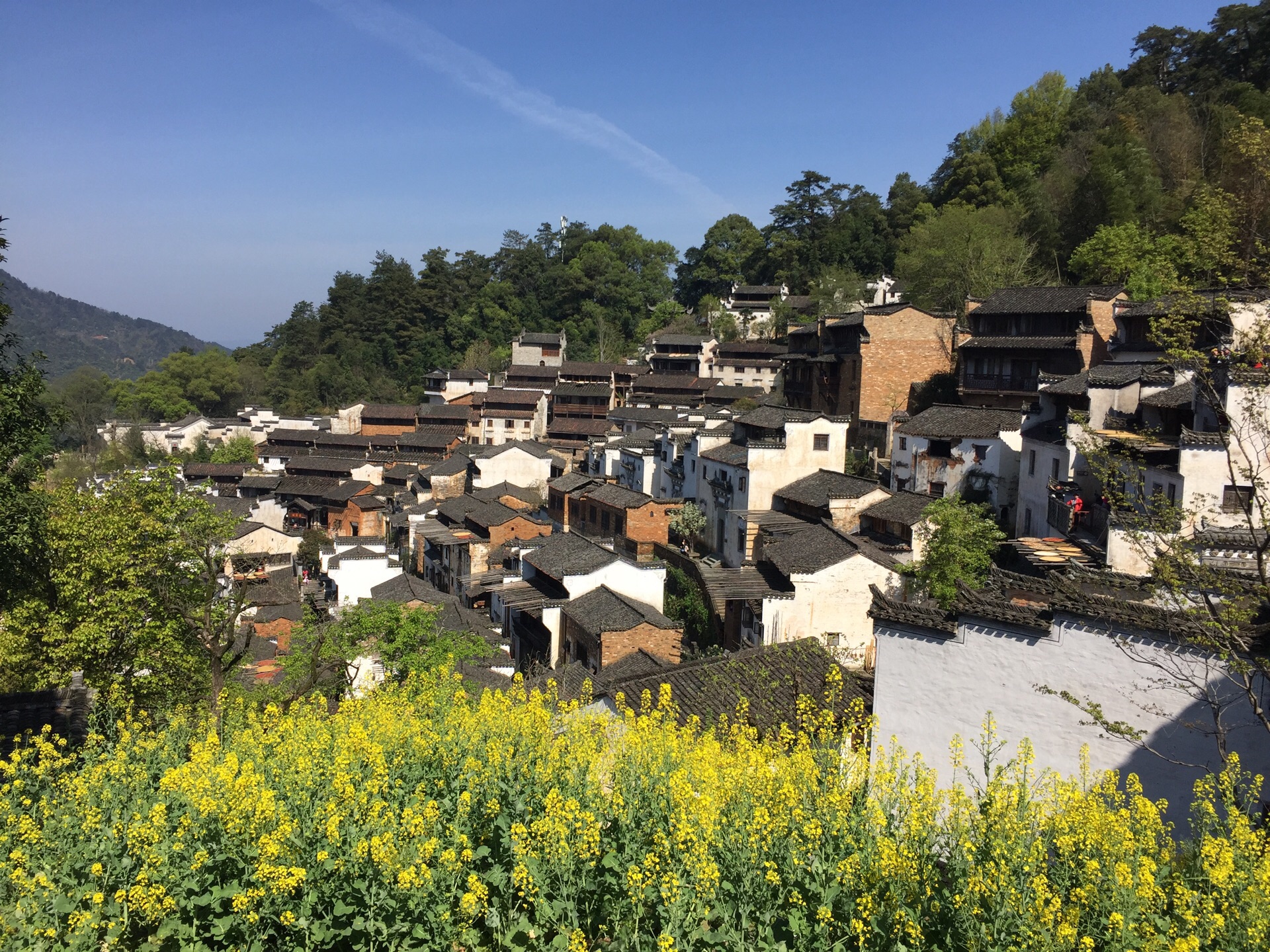 篁岭景区 景点图片