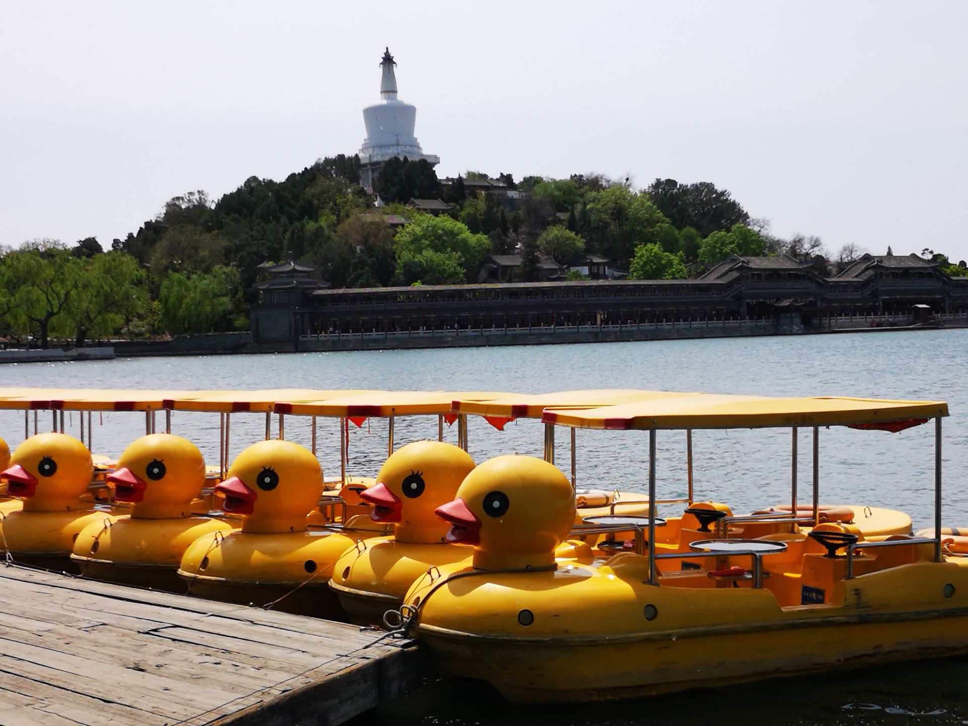 北海公園旅遊景點攻略圖