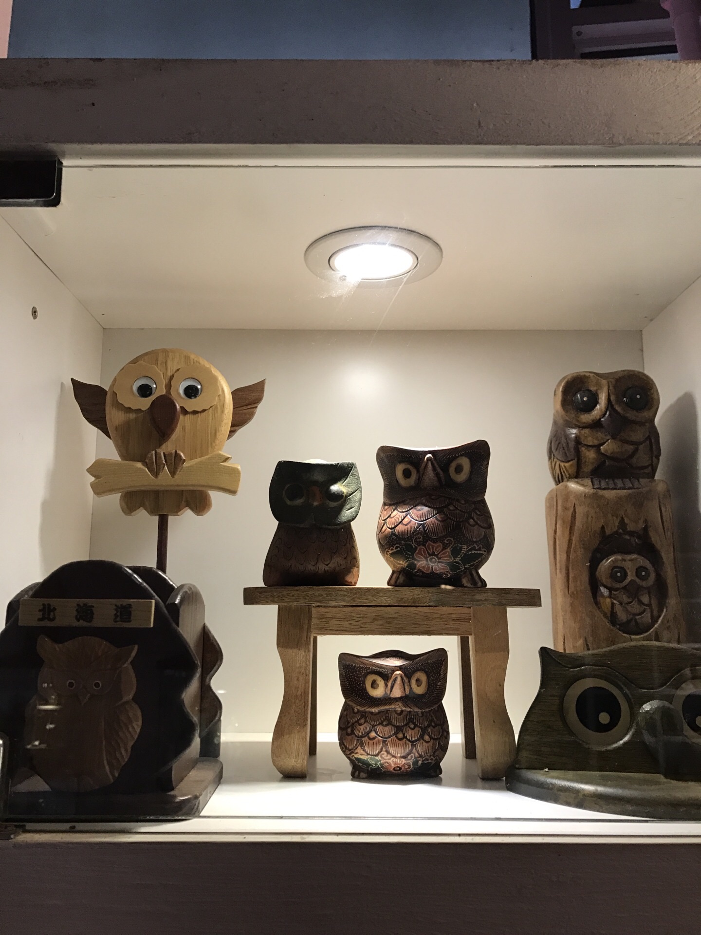首尔猫头鹰博物馆图片