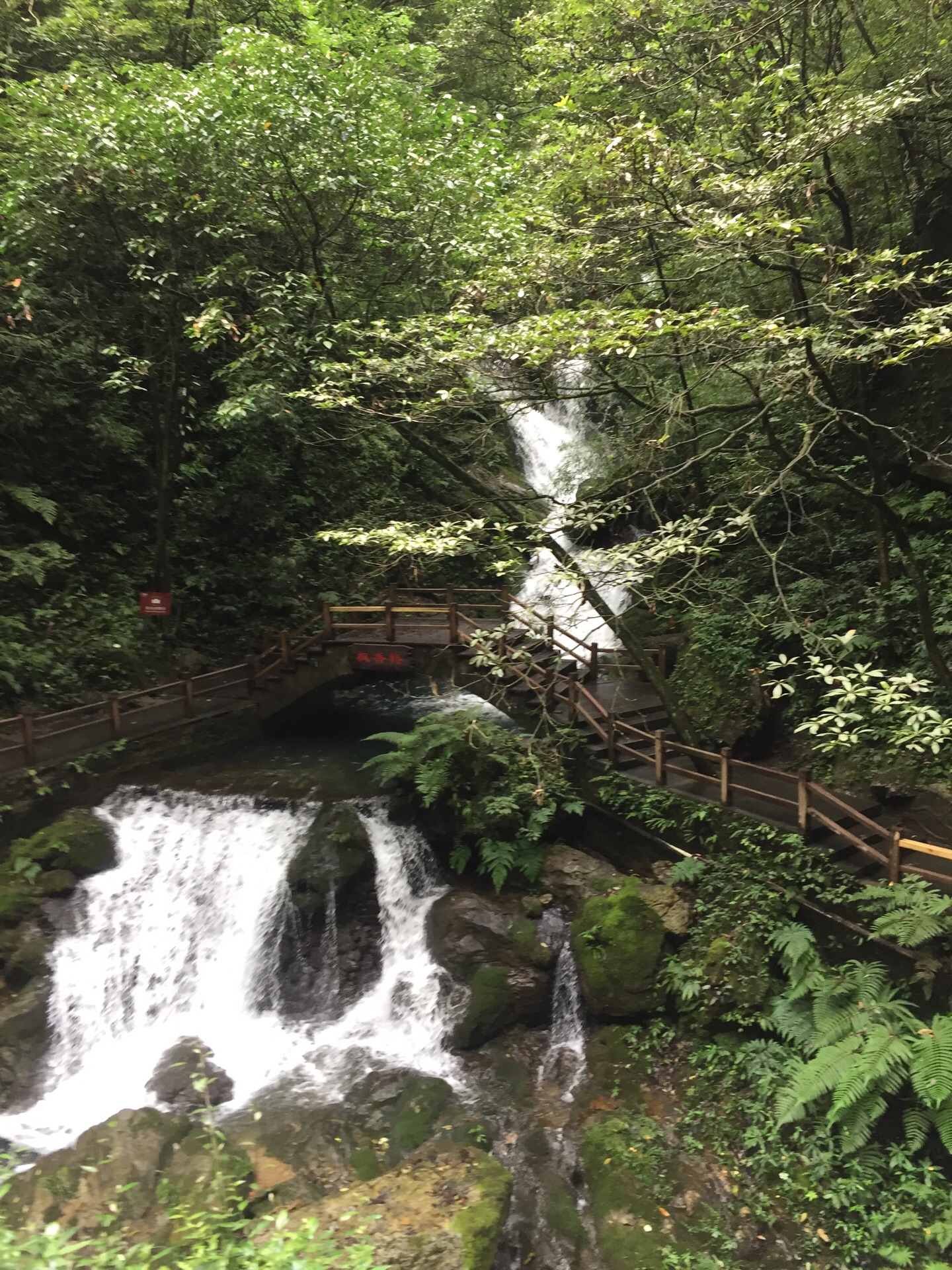 2019黑山谷風景區-旅遊攻略-門票-地址-問答-遊記點評,重慶旅遊旅遊景