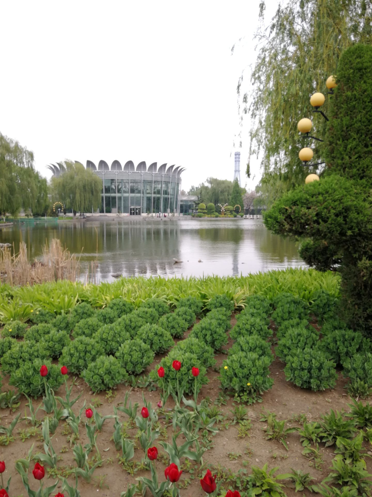 北京世界花卉大观园-中关村在线摄影论坛