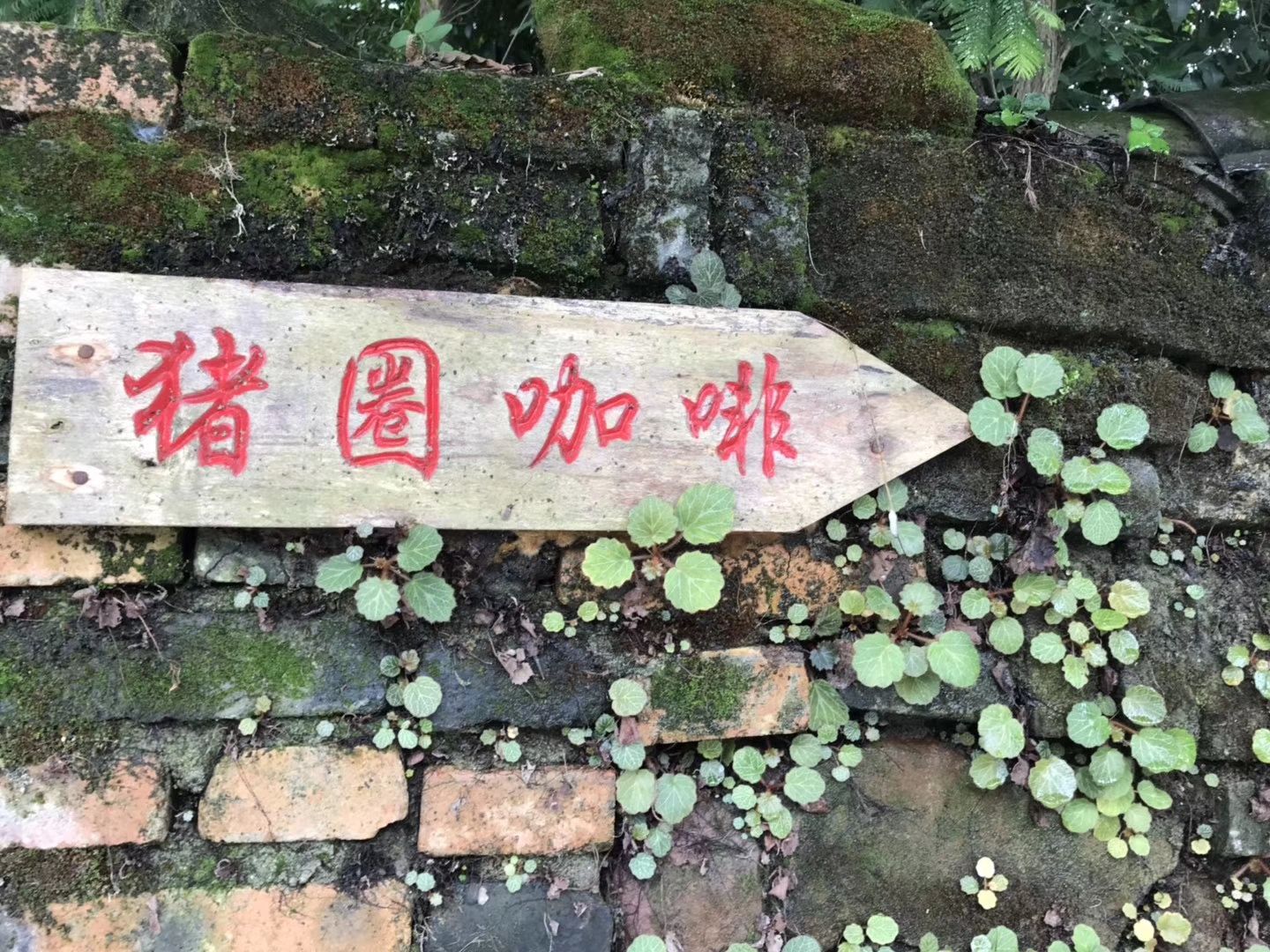 2020猪圈咖啡美食餐厅,.,玩的像猪一样的快乐,不.【去哪儿攻略】