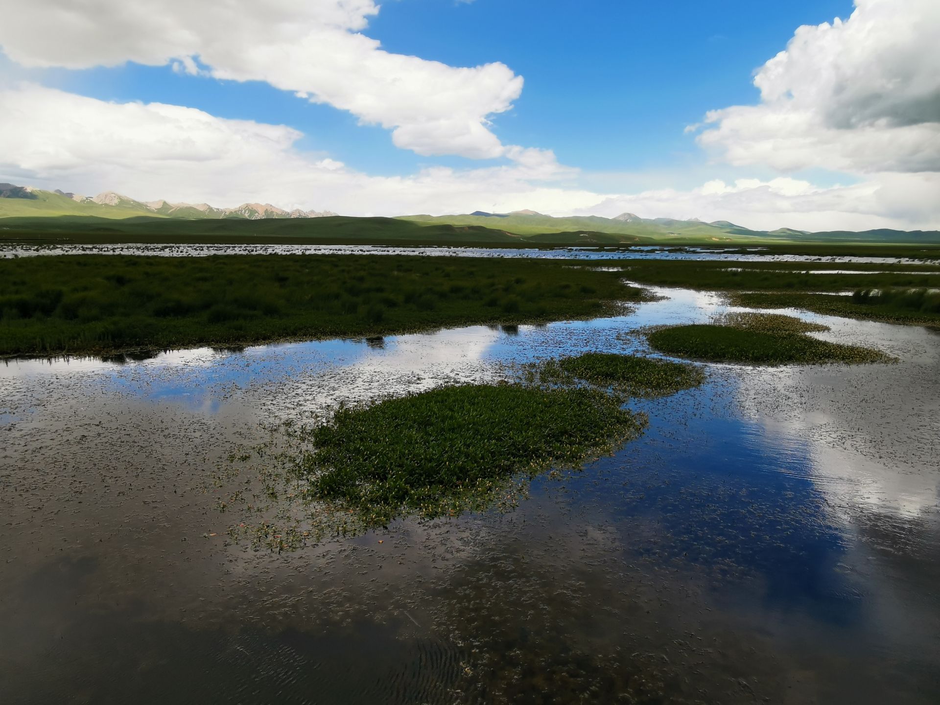若尔盖-花湖 - 中国国家地理最美观景拍摄点