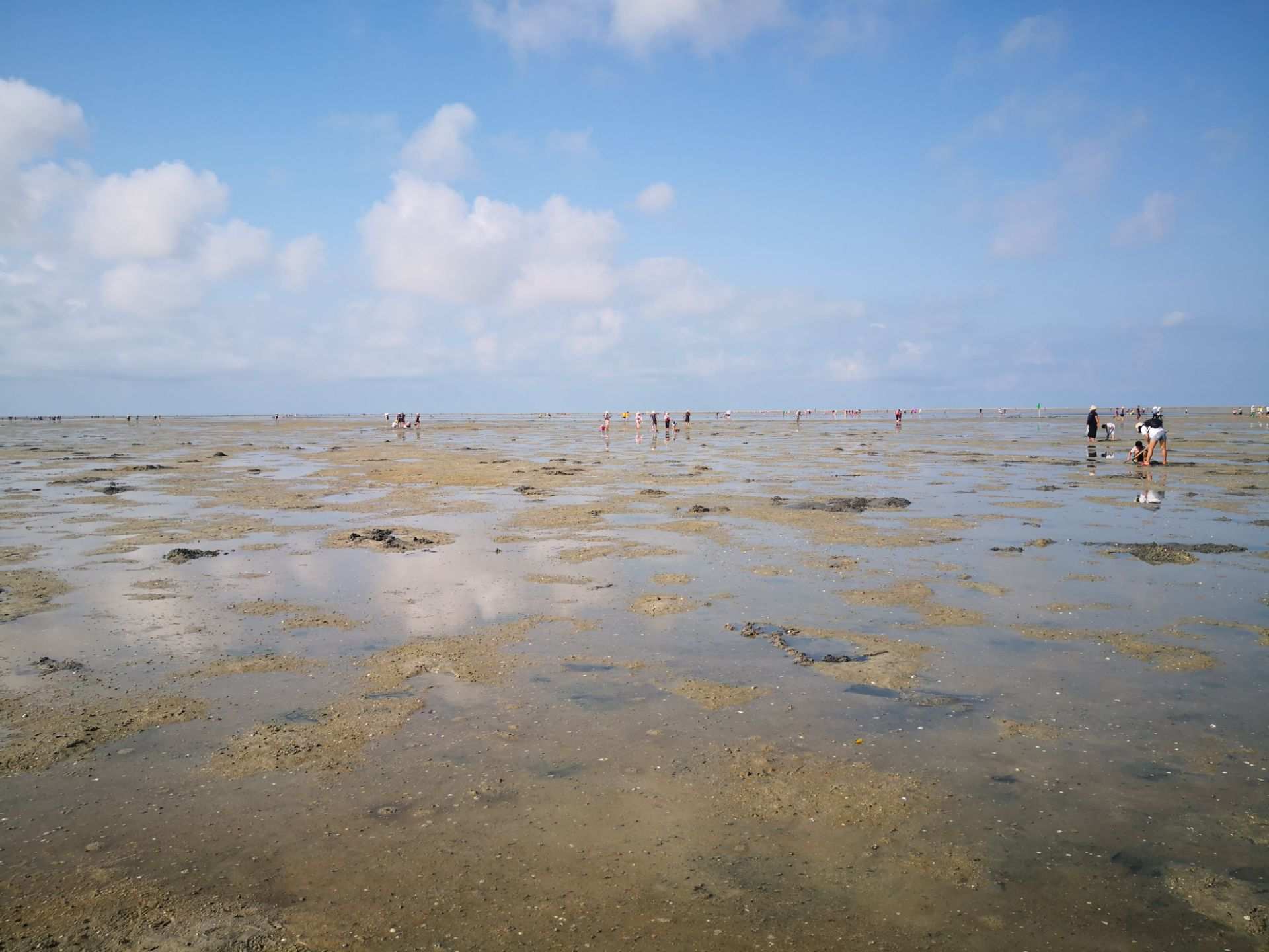 红树林天天赶海