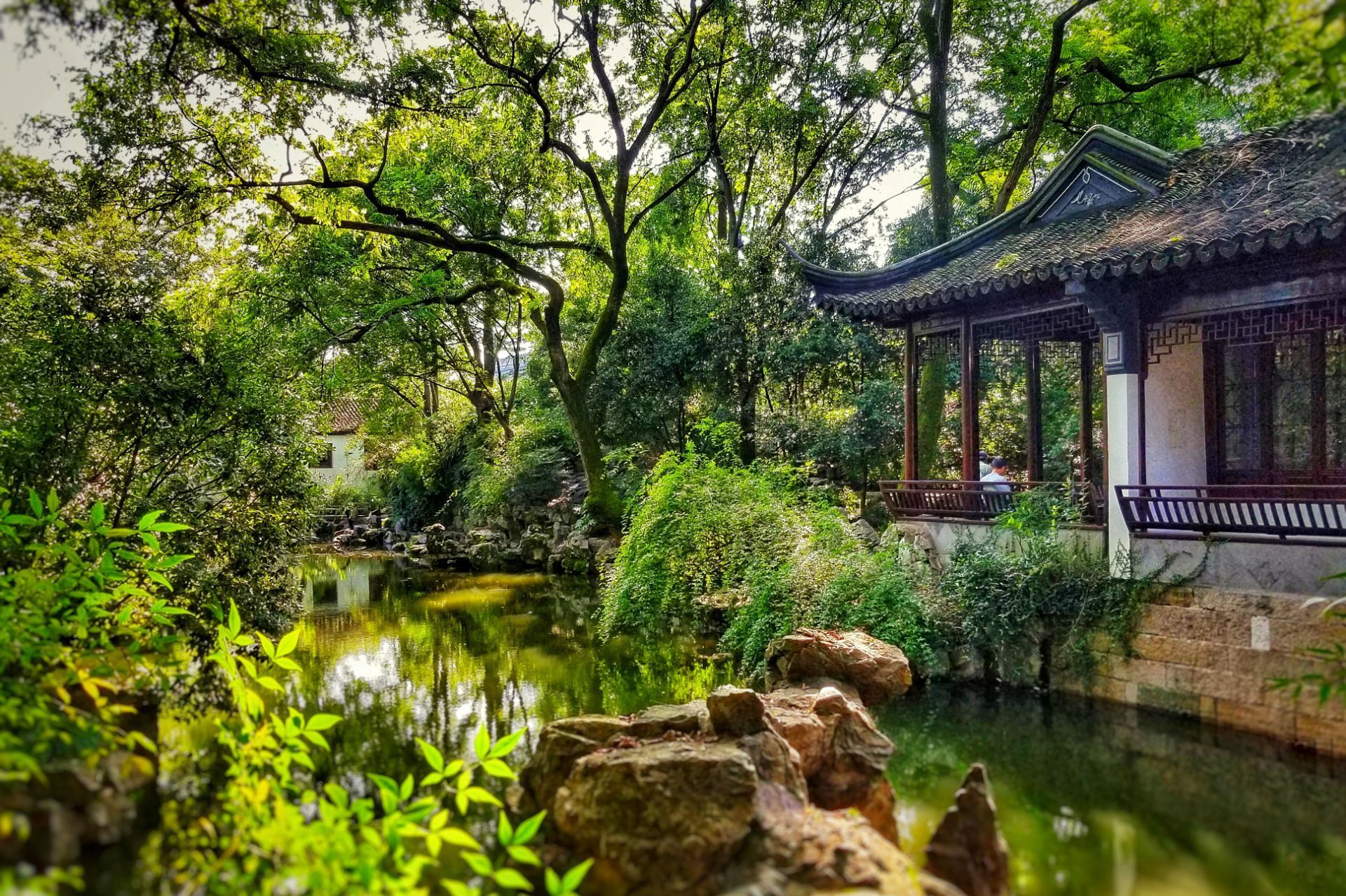 2024秋霞圃游玩攻略,特别喜欢的一个古典园林,一...【去哪儿攻略】