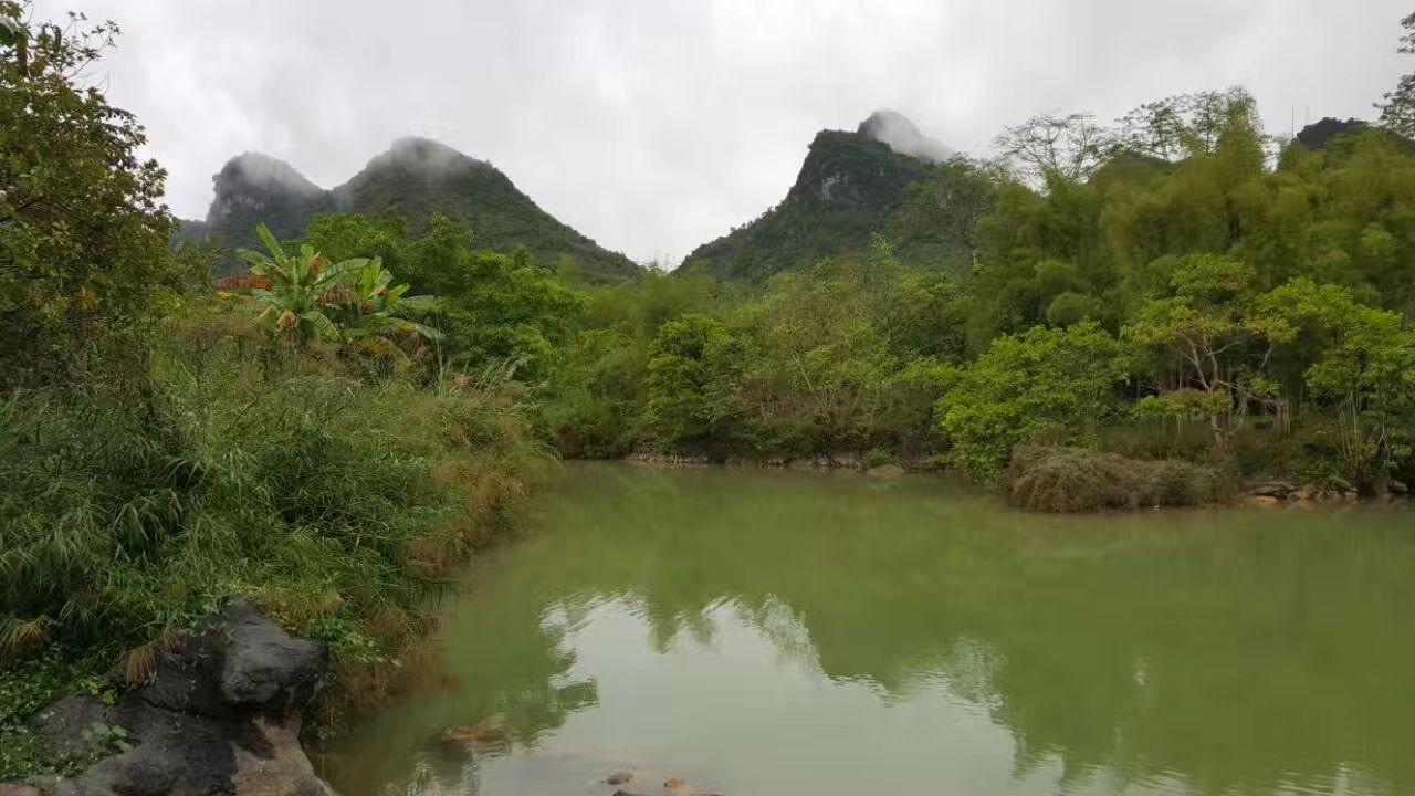 2020德天老木棉景區-旅遊攻略-門票-地址-問答-遊記點評,大新旅遊旅遊