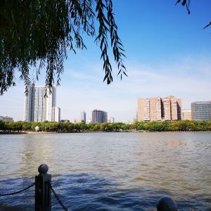 100d1800000151yoe295B_C_300_300.jpg