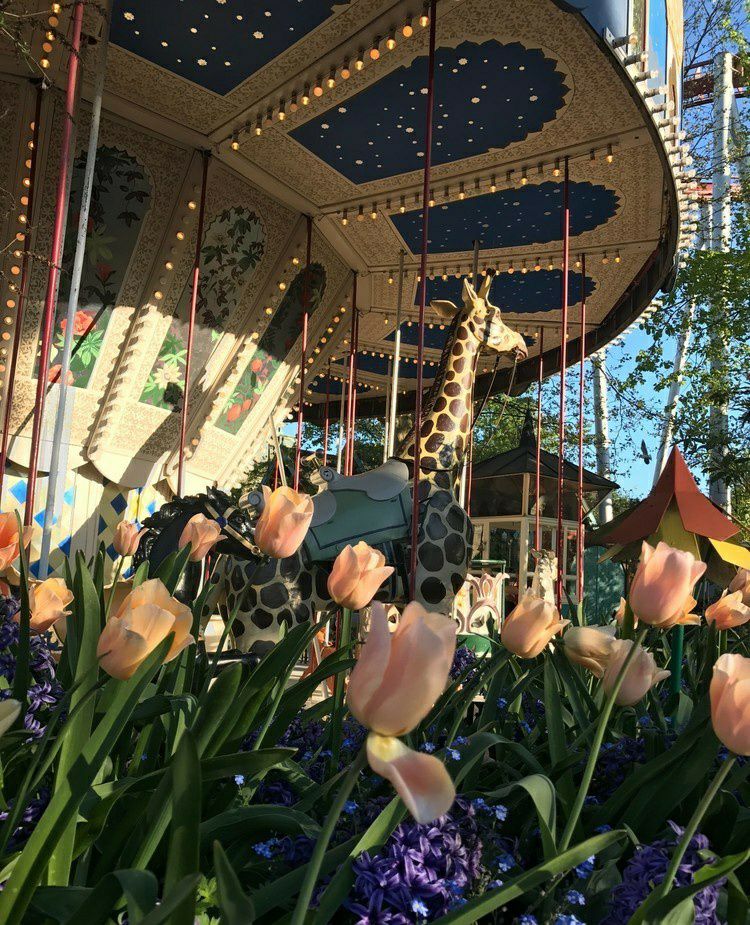 趣伏里公园旅游景点攻略图