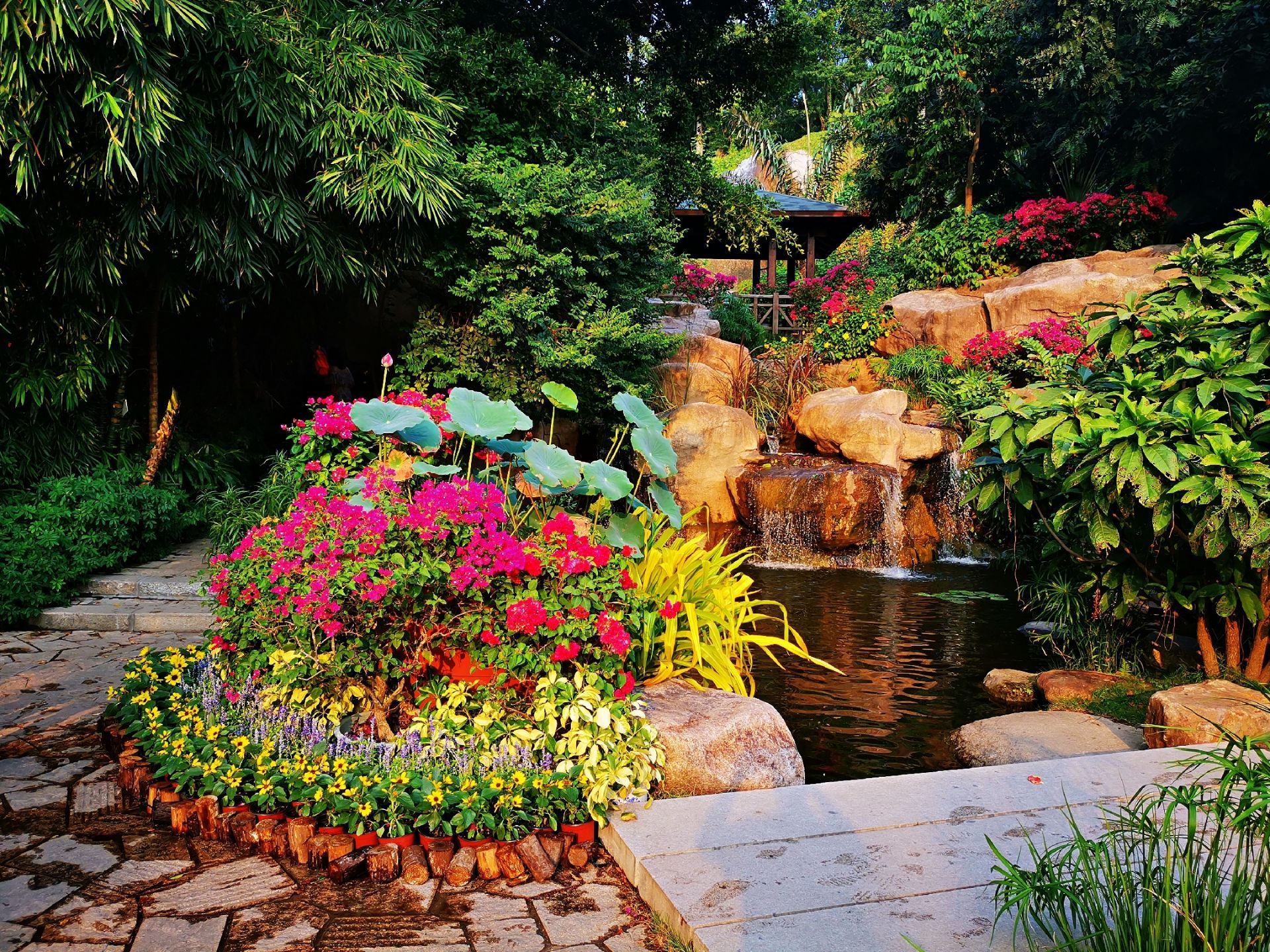 厦门园林植物园