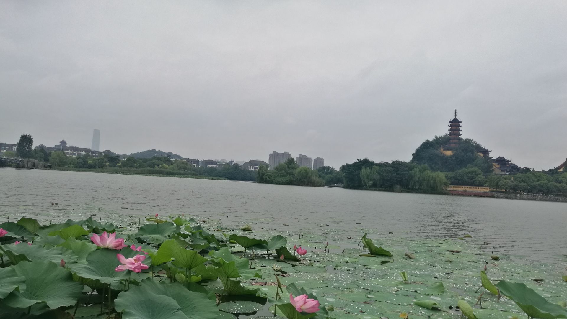 广州番禺金山湖文化公园：依山傍水 绿道环绕