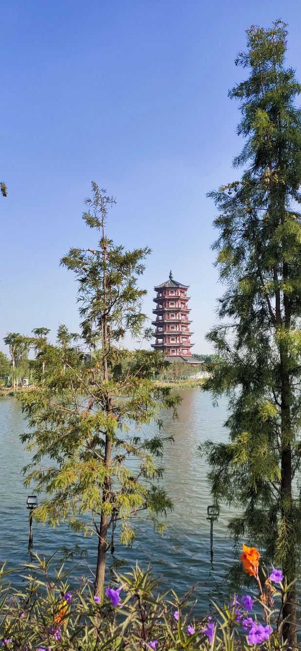 华阳湖湿地公园