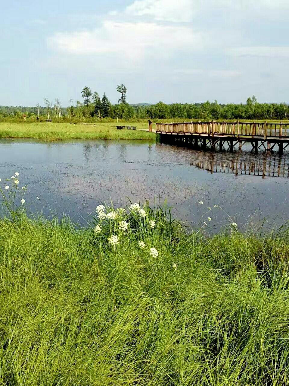 新青国家湿地公园图片