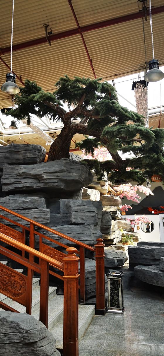 2023阳光绿洲生态酒店美食餐厅,有些菜还是显得不够烫,清蒸.