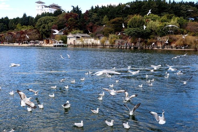 100d1b000001ah1g1C202_R_671_10000_Q90.jpg?proc=autoorient