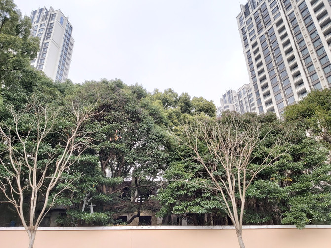 100d1c000001d2cstC598_R_671_10000_Q90.jpg?proc=autoorient