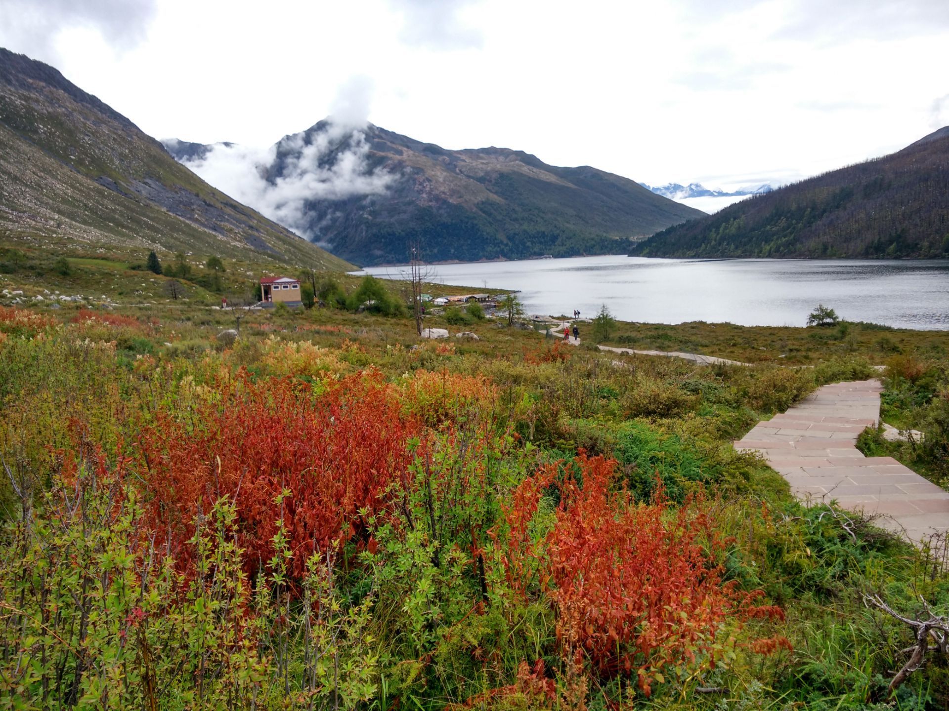康定红海草原好玩吗,康定红海草原景点怎么样_点评_评价【携程攻略】