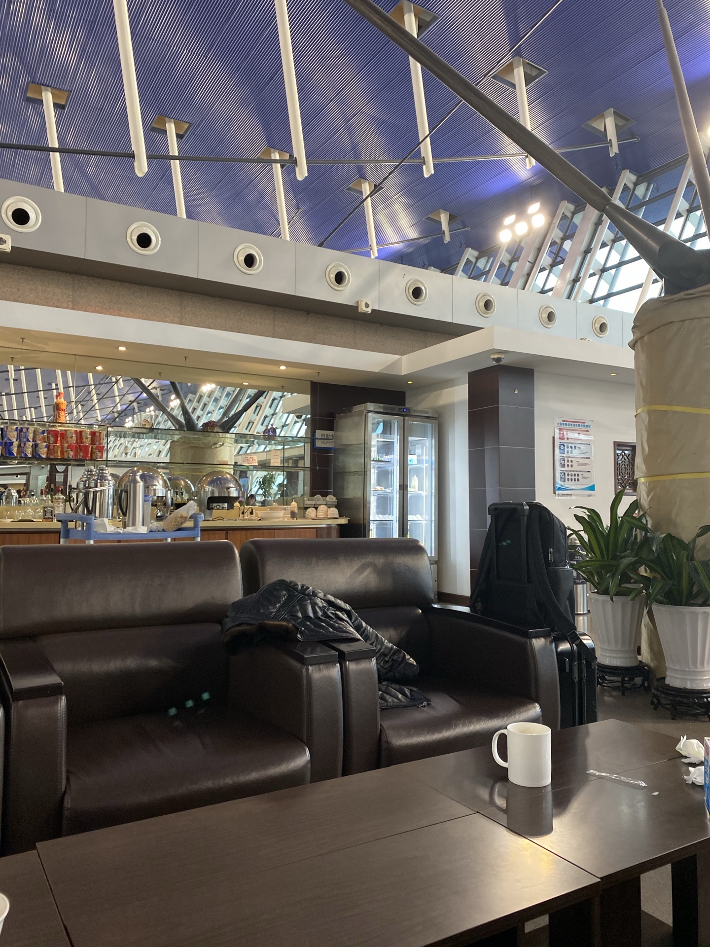 2024浦东机场国航头等贵宾室美食餐厅,环境很棒,服务也还是很不错
