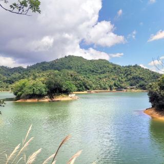 五指山毛岸苗村