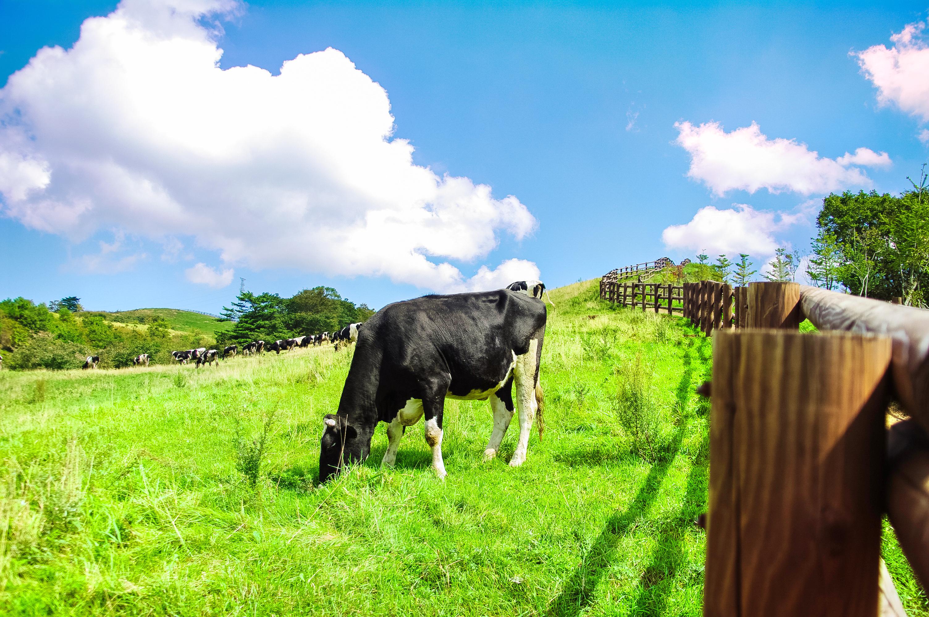 江陵咖啡博物馆