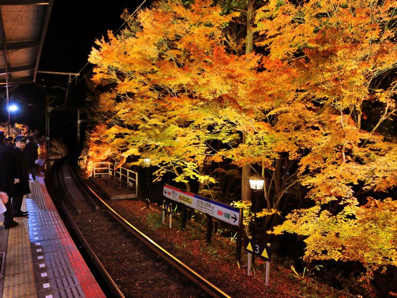 睿山电车红叶隧道