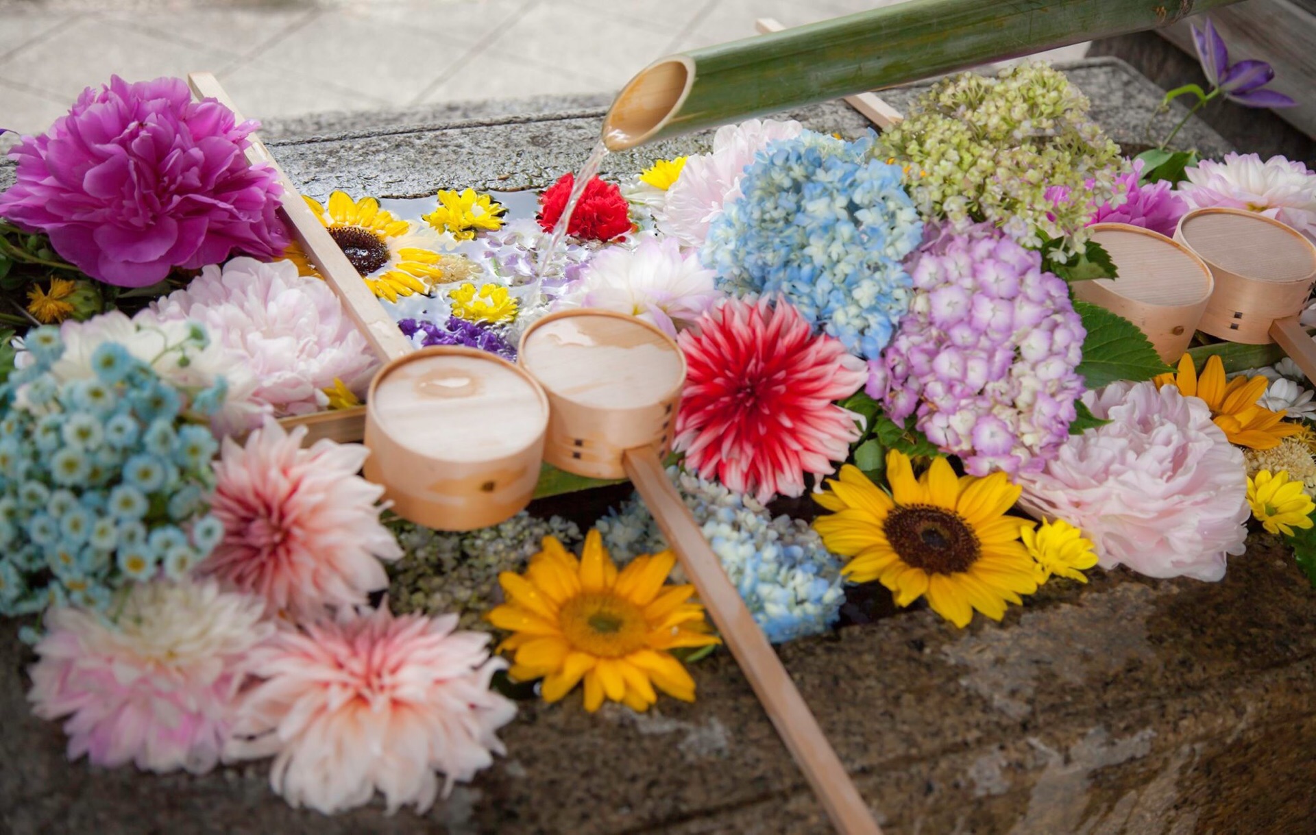 殊的花手水钵供参拜的客人们使用整个寺院都弥漫着花香和本寺东福寺不